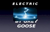 Electric by Grey Goose