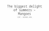 Mangoes - The biggest delight of summes