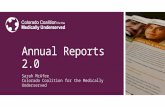 Annual Reports 2.0