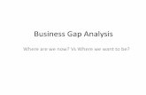 Business gap analysis pdf