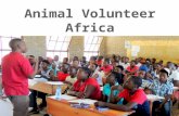 Animal Volunteer Africa