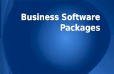 Business software packages