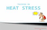 Heat stress Management