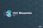 Bluemix the digital innovation platform for indonesia