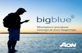 Bigblue Touch Brochure - Final - 03.03.15