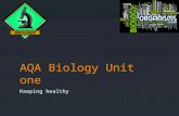 AQA Biology Unit 1 - Keeping Healthy