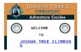 Joshua tree climbing