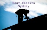 Roof repairs sydney