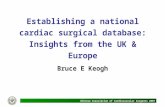 Establishing a national cardiac surgical database: