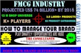 FMCG OTC INDUSTRY - MICRO STRATEGIC BUSINESS CONSULTANCY