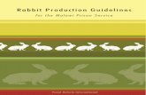 rabbit production guidelines