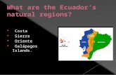 What are the ecuador’s natural regions