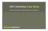 Seo marketing case study   e niche solutions