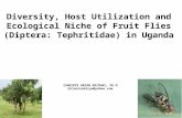 Aspects of the ecology of fruit flies in uganda