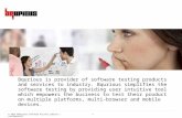 Fundamental Aspects of Functional Testing