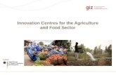 Giz Presentation on innovation Centres