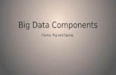 Big data components - Introduction to Flume, Pig and Sqoop