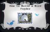 Bird feeder project