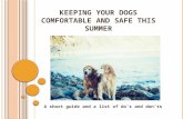 Keeping Your Dog Comfortable This Summer