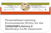 Preparing to facilitate LLN learning through online Web 2 platforms: considerations, strategies, and resources  aleske jbates