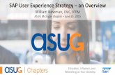 SAP User Experience Strategy - An Overview
