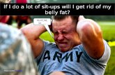 Unit 4 belly fat