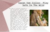 Saxen van coller -  play_safe_in_the_wild