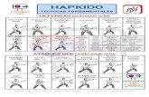 Tecnicas fundamentales lee hapkido