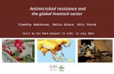Antimicrobial resistance and the global livestock sector