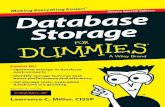 Oracle   database storage for dummy