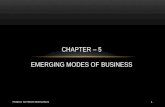 Business Studies - Emerging Modes