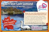 Love Loch Lomond Banner