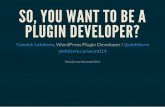 So, you want to be a plugin developer?