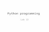 Python programming lab13