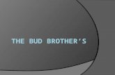 The bud brother’s