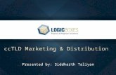 Latin American ccTLD Distribution strategies - ICANN 53 presentation