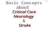 Basics about stroke