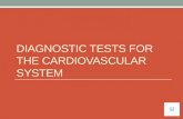 Cardiovascular system bio 120