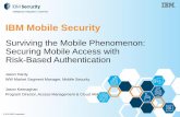 Surviving the Mobile Phenomenon: Securing Mobile Access with Risk-Based Authentication