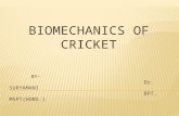 Biomechanics of cricket