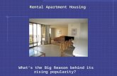 Rental Apartment Housing - What’s the Big Reason Behind its Rising Popularity?