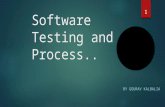 Software testing and process