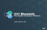 Bluemix Technical Overview