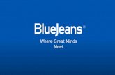 Blue Jeans Overview_Feb 2015