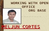 MELJUN CORTES open office org base