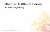 X3pure chapter 1 slides