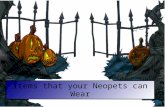 Items that your Neopets can wear