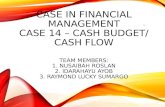 Case in financial management case 14, triad camp