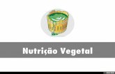 Nutrição Vegetal