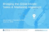 Bridging the Great Divide: Sales and Marketing Alignment Financial Services